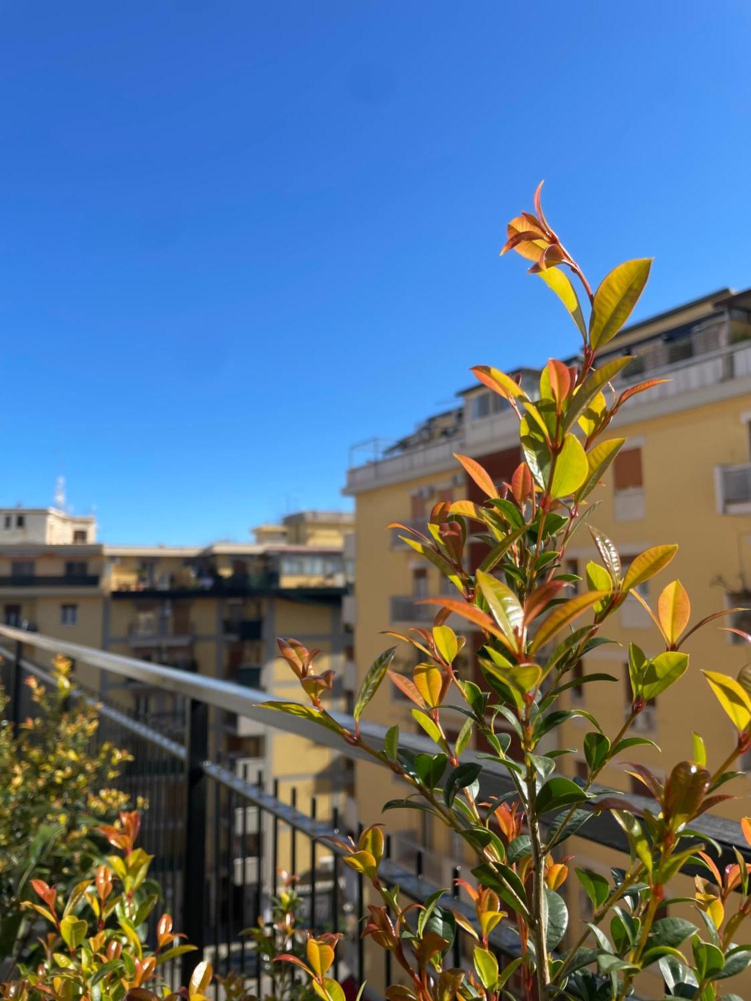 Ferienwohnung Terrazza L Emiro Casa Vacanze Palermo Exterior foto